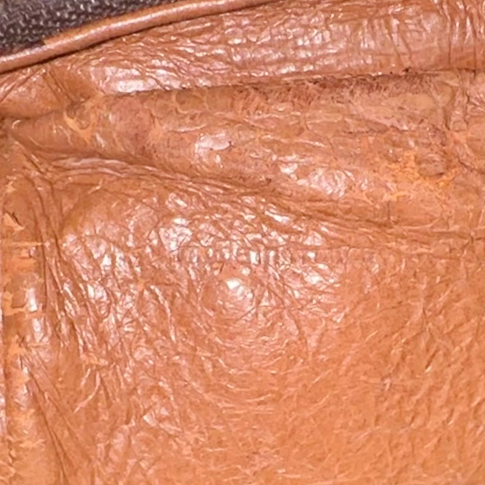 Louis Vuitton Mini Amazone Shoulder Bag - Picture 11 of 15